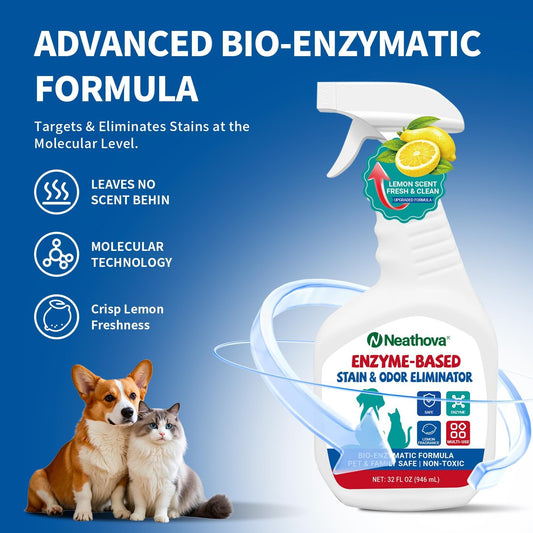 Stain & Strong Odor Eliminator, Enzyme Cleaner, Pet Odor Eliminator for Home - Carpet Stain Remover for Cats & Dog Pee - Urine Destroyer - Carpet Cleaner Spray Clear (Unscented)