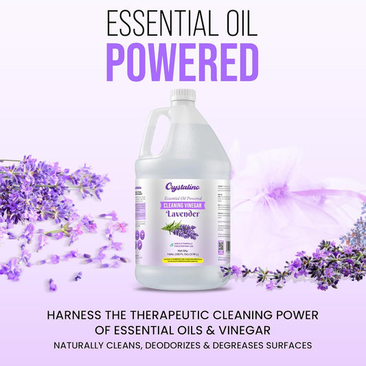 6% Cleaning Vinegar Cleaner (1 Gallon) Eucalyptus Essential Oil Powered for Home, White Industrial Vinegar for Cleaning Purpose and Laundry, Vinager, Vinagre Blanco de Limpieza, Vinger