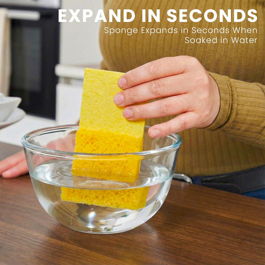 Metflavor Compressed Kitchen Sponges, 12 Count, Thick Non-Scratch Cellulose Dish Sponges, Biodegradable & Compostable, Pop-up Cleaning Sponge, 5" x 3" x 1"