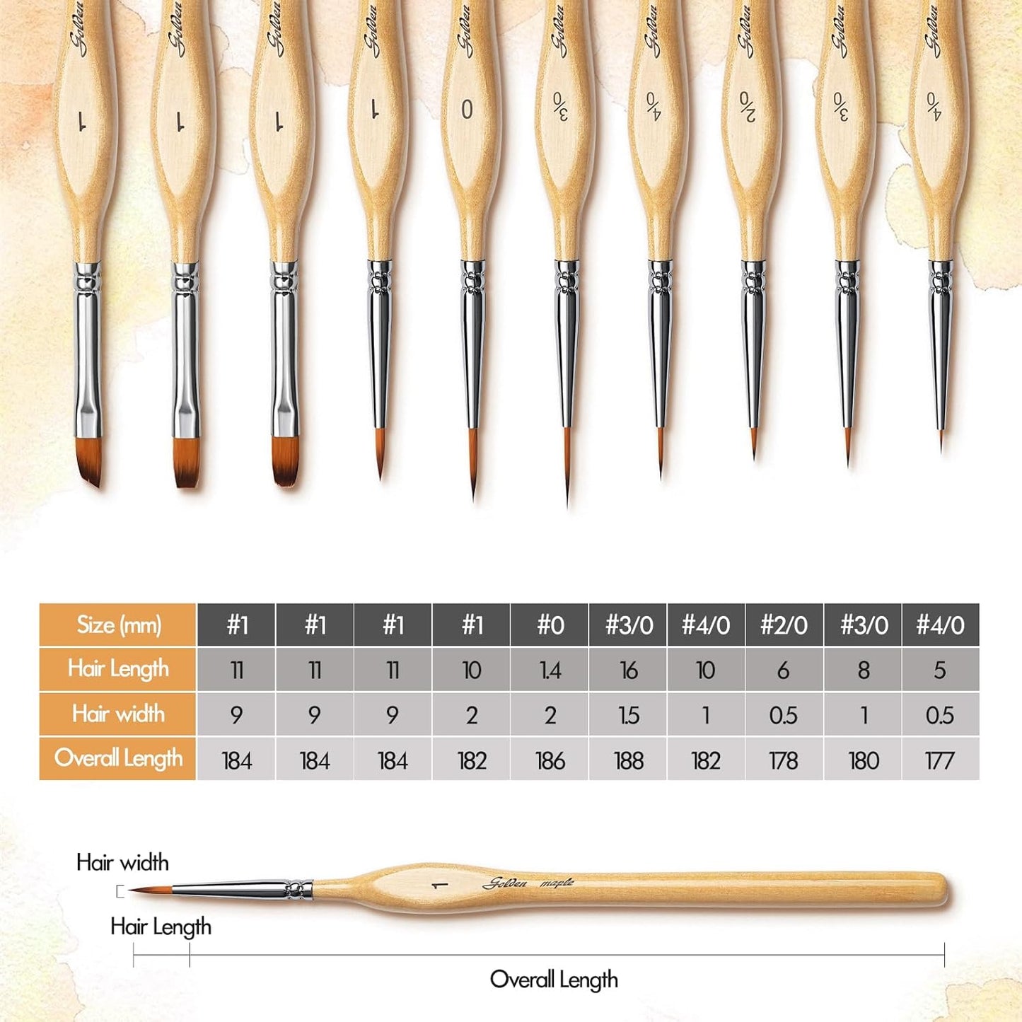 Golden Maple Detail Paint Brushes Set 10pcs Miniature Brushes for Fine Detailing & Art Painting - Acrylic, Watercolor, Oil, Models