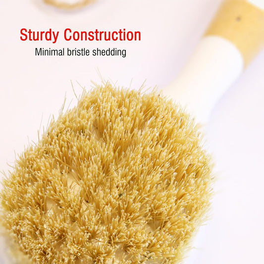 Bamboo Vegetable Brush Set, Natural Bristle Dish Brush with Holder, Eco Friendly Soft Dish Scrubber Kitchen Brush for Dishes