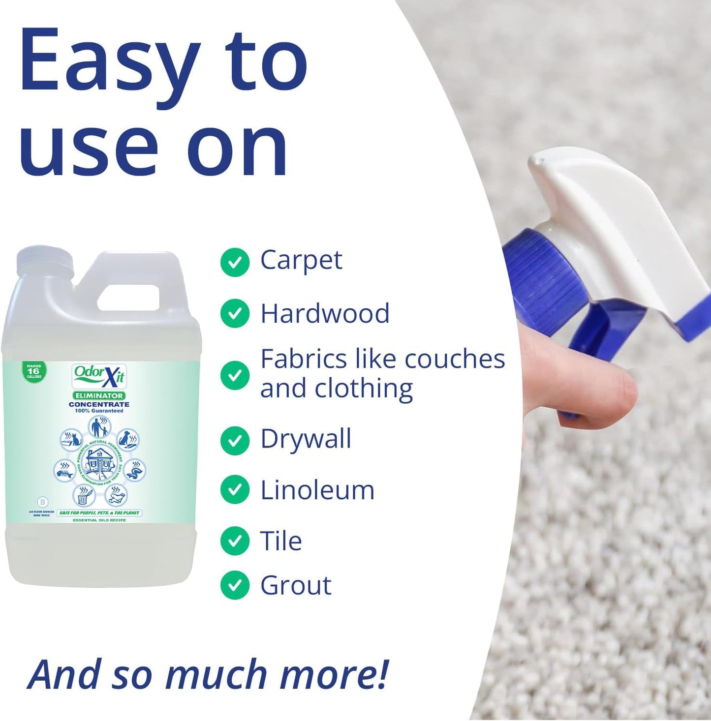 Pet Urine Odor Eliminator Spray, Ideal for Cat, Dog Poo and Urine Smell, Versatile & Natural Odor Neutralizer for Home and Outdoor Use, Ready to Use, 16oz