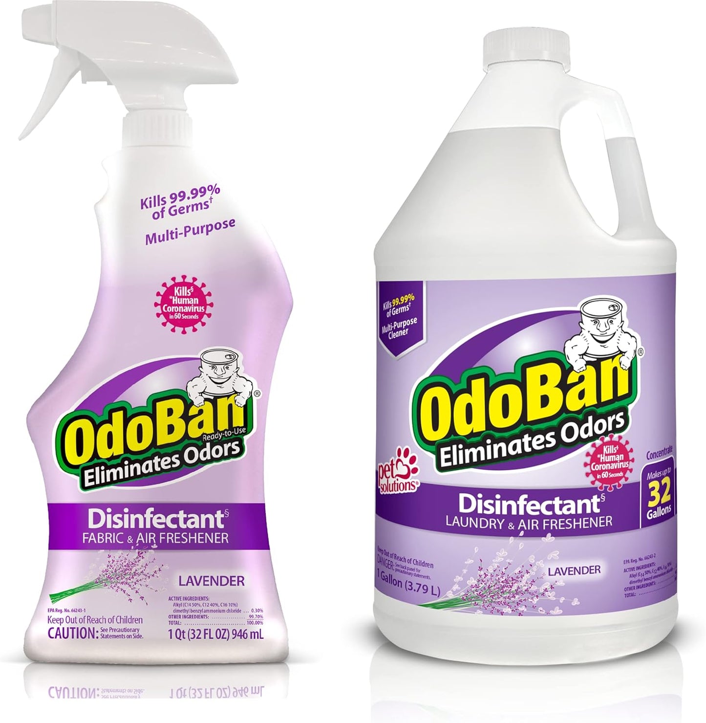 OdoBan Ready-to-Use Disinfectant and Odor Eliminator, Made in the USA, Original Eucalyptus Scent, Set of 3, 2 Spray Bottles, 32 Ounces Each and 1 Gallon Concentrate