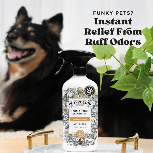Pet-Pourri Pawsitively Fresh Pet Odor Deodorizer Spray, 16 Fl Oz, Up to 800 Uses, Air + Fabric Odor Remover with Essential Oils & Plant Based Ingredients, Vet Recommended, Pineapple, Jasmine & Pear