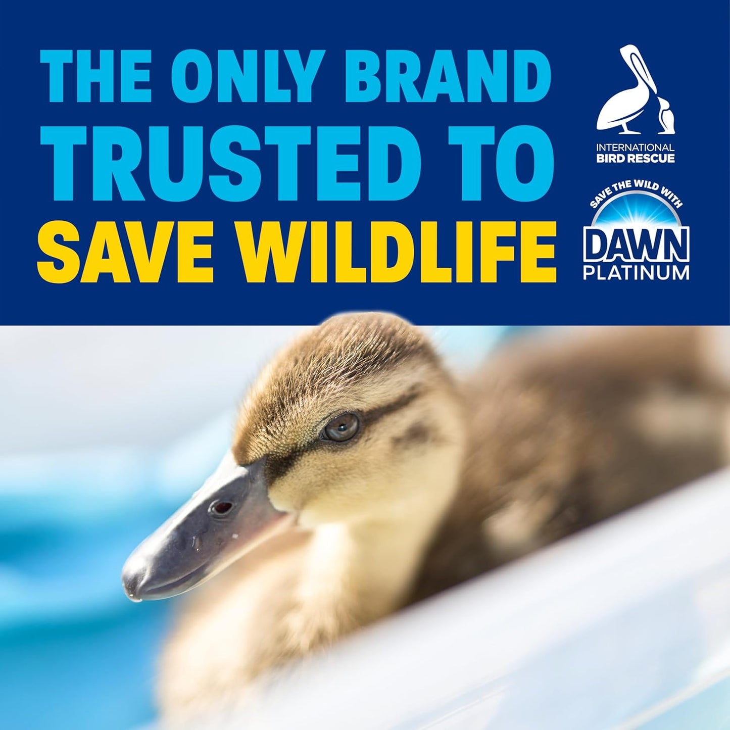 Dawn Dishwashing Liquid, Original Scent, 30.8 fl oz