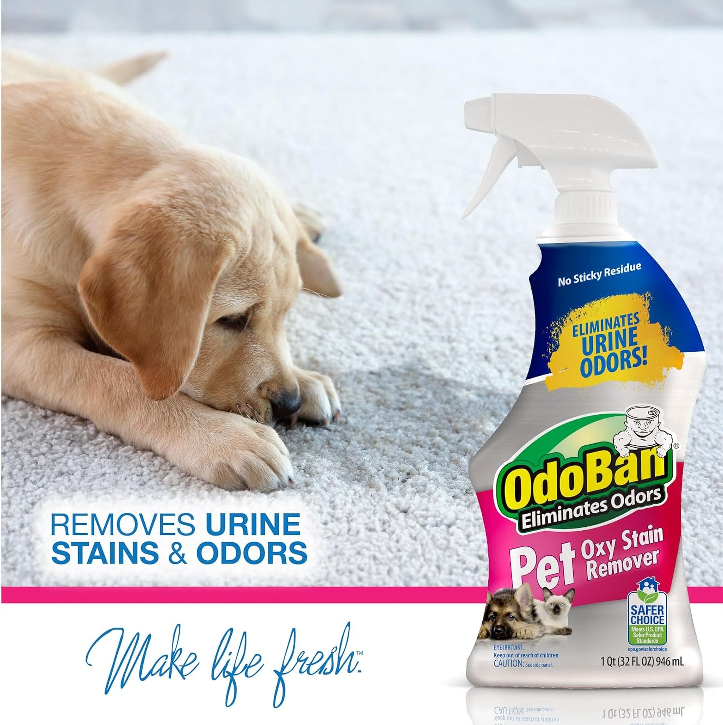 OdoBan Pet Solutions Oxy Stain Remover, Made in the USA, 2-Pack, 32 Ounce Sprays Each, and Neutral pH Floor Cleaner Concentrate, 1 Gallon