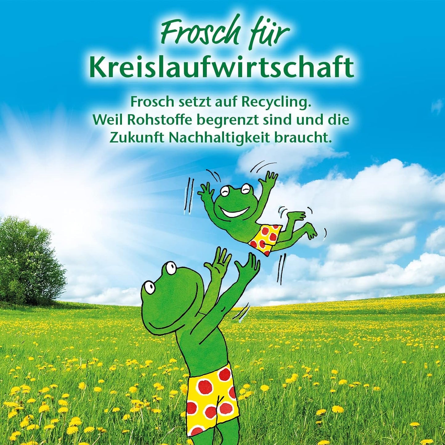 Frosch Rinse Aid 750 ml - 25.36 Fl Oz, Organic, Vegan, Unscented, 1 Pack