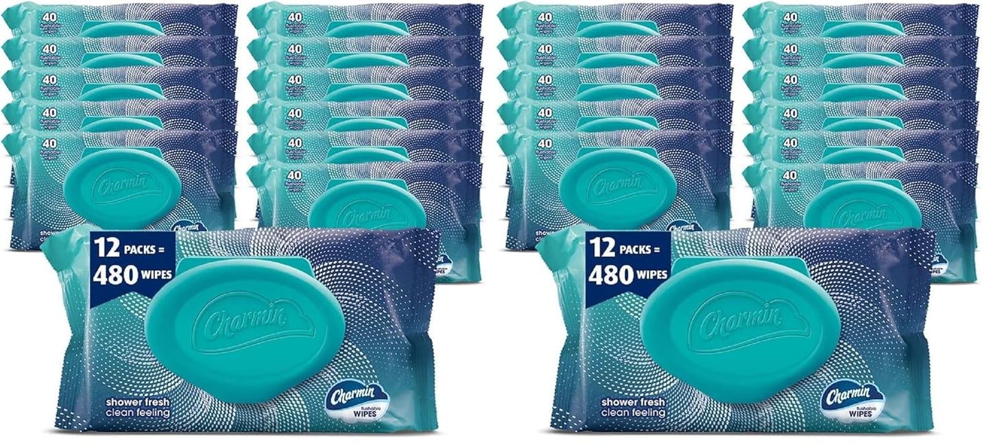 Charmin Flushable Wipes, 160 Total Wipes (4 Packs of 40)