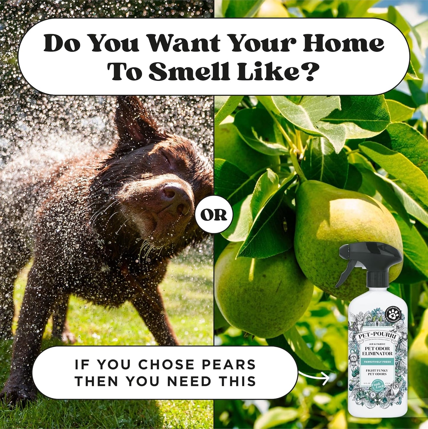 Pet-Pourri Pawsitively Fresh Pet Odor Deodorizer Spray, 16 Fl Oz, Up to 800 Uses, Air + Fabric Odor Remover with Essential Oils & Plant Based Ingredients, Vet Recommended, Pineapple, Jasmine & Pear