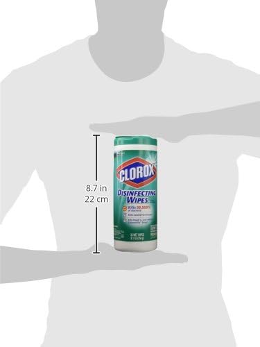 Clorox Wet Wipes Lemon Fresh & Fresh Scent - 3 CT