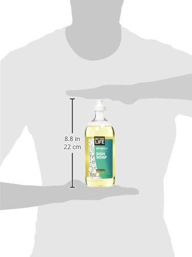Better Life Dish Soap - Liquid Dishwashing Soap with Vitamin E and Aloe for Home & Kitchen Sink - No Gloves Required Kitchen Soap for Sensitive Skin - 22oz (Pack of 2) Lemon Mint