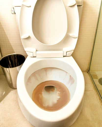 Automatic Toilet Bowl Cleaner Tablets, 12 Tablets