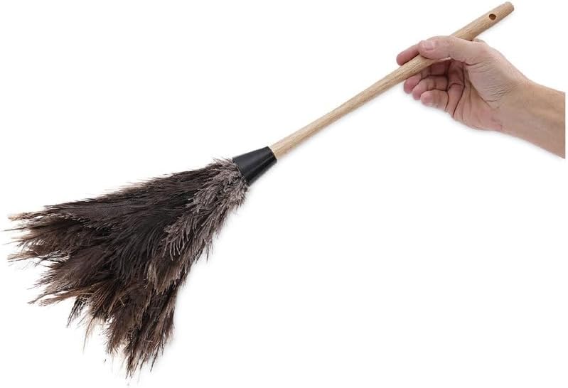 Boardwalk 23FD Professional Ostrich Feather Duster 13-Inch Handle