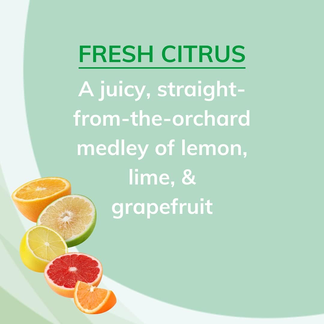 Citrus Magic Odor Absorbing Solid Air Freshener, Fresh Citrus, 8-Ounce, Pack of 1