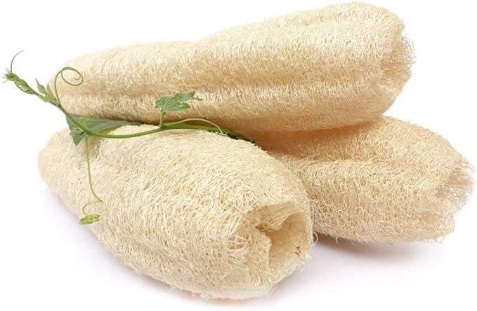 Natural Loofah Dish Sponge (Pack 30) Multipurpose Dish Sponges - 100% Biodegradable Compostable Dishwashing Scouring Pad Zero Waste (2.75" x 2.75" Each)