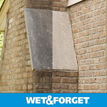 Wet & Forget Moss, Mold, Mildew, & Algae Stain Remover Multi-Surface Outdoor Cleaner Concentrate, Original, 128 Fluid Ounces