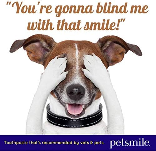 Petsmile Professional Pet Toothpaste for Cats & Dogs - VOHC Accepted Toothpaste - Clinically Proven to Control Plaque & Tartar Calprox Formula (London Broil, 4.2 Oz)