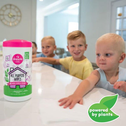 Dapple Baby All Purpose Cleaning Spray and All Purpose Wipes - (2 Pack) 16.9 fl oz Bottle - 30 Cleaning Wipes Total - Fragrance-Free, Hypoallergenic & Plant-Powered - Baby Essentials