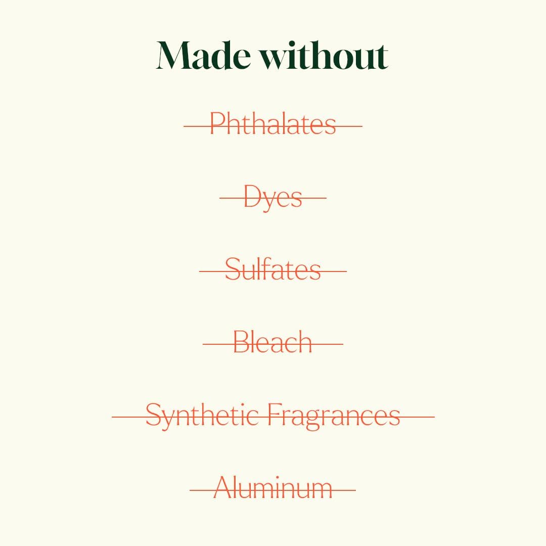 Plant Therapy Home Deodorizing Powder 16 oz, Odor Eliminator, Carpet Deodorizer, Multi-Use for Deep-Cleaning & Everyday Household Freshness, Powered by Pure Essential Oils