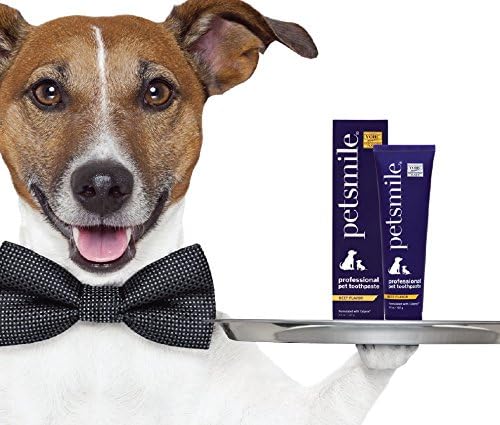 Petsmile Professional Pet Toothpaste for Cats & Dogs - VOHC Accepted Toothpaste - Clinically Proven to Control Plaque & Tartar Calprox Formula (London Broil, 4.2 Oz)