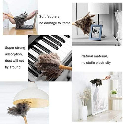 Ostrich Feather Duster for Cleaning-Furniture Dusters with Handle Ddzmz Hand Duster with Fluffy Natural Genuine Feather Reusable Household Duster, Gray and Brown(Length 16")