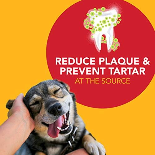 Petrodex Toothpaste for Dogs and Puppies, Cleans Teeth and Fights Bad Breath, Reduces Plaque and Tartar Formation, Enzymatic Toothpaste, Poultry Flavor, 6.2oz