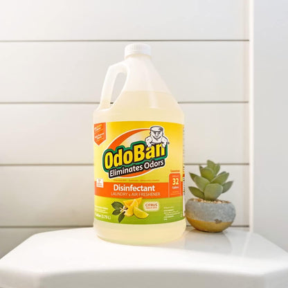OdoBan Ready-to-Use Disinfectant and Odor Eliminator, Made in the USA, Original Eucalyptus Scent, Set of 3, 2 Spray Bottles, 32 Ounces Each and 1 Gallon Concentrate