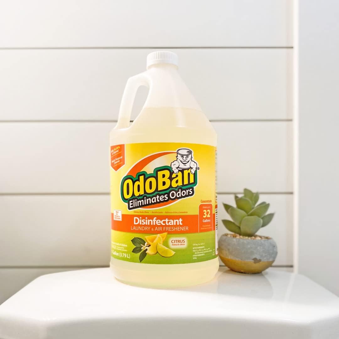 OdoBan 360-Degree Continuous Spray Natural Oil Real Citrus Orange Air Freshener, 10 Ounce, and Multipurpose Disinfectant Cleaner, 32 Ounce Spray, Made in the USA