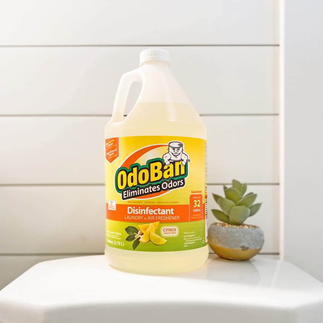 OdoBan Disinfectant Concentrate and Odor Eliminator, Made in the USA, Lavender Scent, 1 Gallon