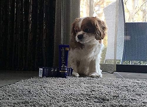 Petsmile Professional Pet Toothpaste for Cats & Dogs - VOHC Accepted Toothpaste - Clinically Proven to Control Plaque & Tartar Calprox Formula (London Broil, 4.2 Oz)