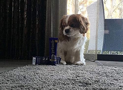 Petsmile Professional Pet Toothpaste for Cats & Dogs - VOHC Accepted Toothpaste - Clinically Proven to Control Plaque & Tartar Calprox Formula (London Broil, 4.2 Oz)