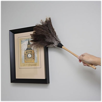 Boardwalk 23FD Professional Ostrich Feather Duster 13-Inch Handle