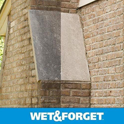 Wet & Forget Moss, Mold, Mildew, & Algae Stain Remover Multi-Surface Outdoor Cleaner Concentrate, Original, 128 Fluid Ounces