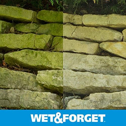 Wet & Forget Moss, Mold, Mildew, & Algae Stain Remover Multi-Surface Outdoor Cleaner Concentrate, Original, 128 Fluid Ounces