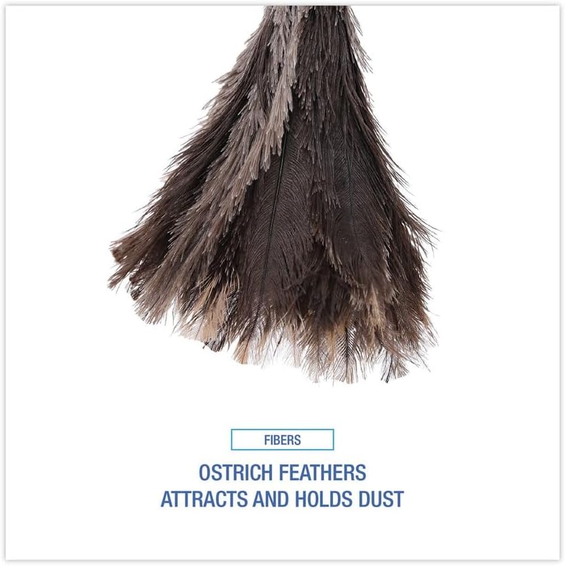 Boardwalk 23FD Professional Ostrich Feather Duster 13-Inch Handle