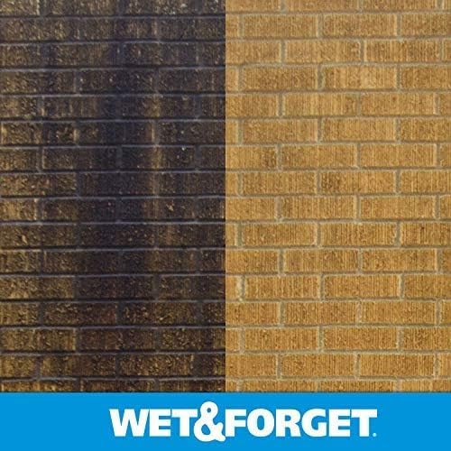 Wet & Forget Moss, Mold, Mildew, & Algae Stain Remover Multi-Surface Outdoor Cleaner Concentrate, Original, 128 Fluid Ounces