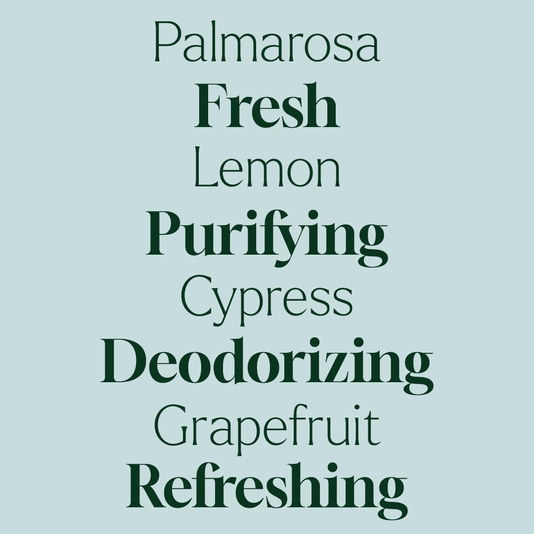 Plant Therapy Home Deodorizing Powder 16 oz, Odor Eliminator, Carpet Deodorizer, Multi-Use for Deep-Cleaning & Everyday Household Freshness, Powered by Pure Essential Oils