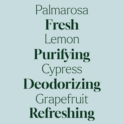 Plant Therapy Home Deodorizing Powder 16 oz, Odor Eliminator, Carpet Deodorizer, Multi-Use for Deep-Cleaning & Everyday Household Freshness, Powered by Pure Essential Oils