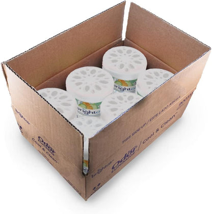 Bright Air 14 oz. Super Odor Eliminator, For Medium-Size Spaces, Cool & Clean Scent, Case of 6,Air Freshener, Natural Essential Oils, Lasts Up to 90 Days Each