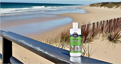 CLEAN MY STEEL Innoshine B570 Stainless Steel Rust Remover and Cleaner, NSF Certified, Approved for Food Contact Areas, 4 oz
