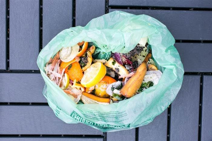 3 Gallon Compostable Food Scrap Bags by BioBag, 100 Count, BPI Certified, Meets ASTM D6400 Standards, Made in USA, Kitchen Trash Bin Liners