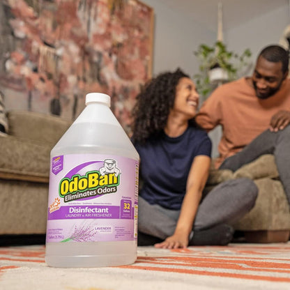 OdoBan Disinfectant Concentrate and Odor Eliminator, Made in the USA, Original Eucalyptus Scent, 1 Gallon
