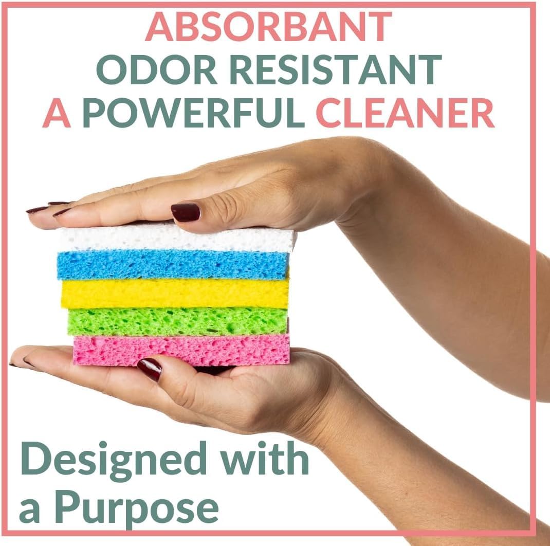bioGo 12 Pack Natural Biodegradable Kitchen Sponges - Eco-Friendly, Compostable, Cellulose Dish - Compostable - Biodegradable - Cellulose Sponge