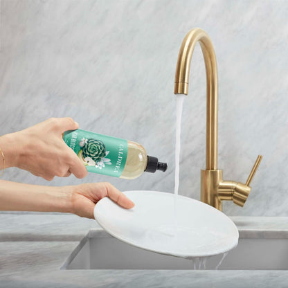 Caldrea Dish Soap, Biodegradable Dishwashing Liquid made with Soap Bark and Aloe Vera, Ginger Pomelo Scent, 16 oz