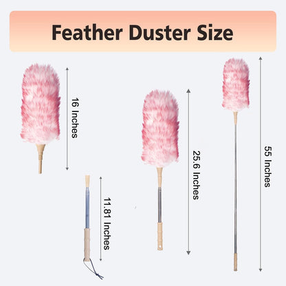 Cedenoo Lambswool Duster Extendable 22–55 Inch Natural Wool Duster with Flexible Head for Ceilings Furniture Blinds Electronics Washable Reusable