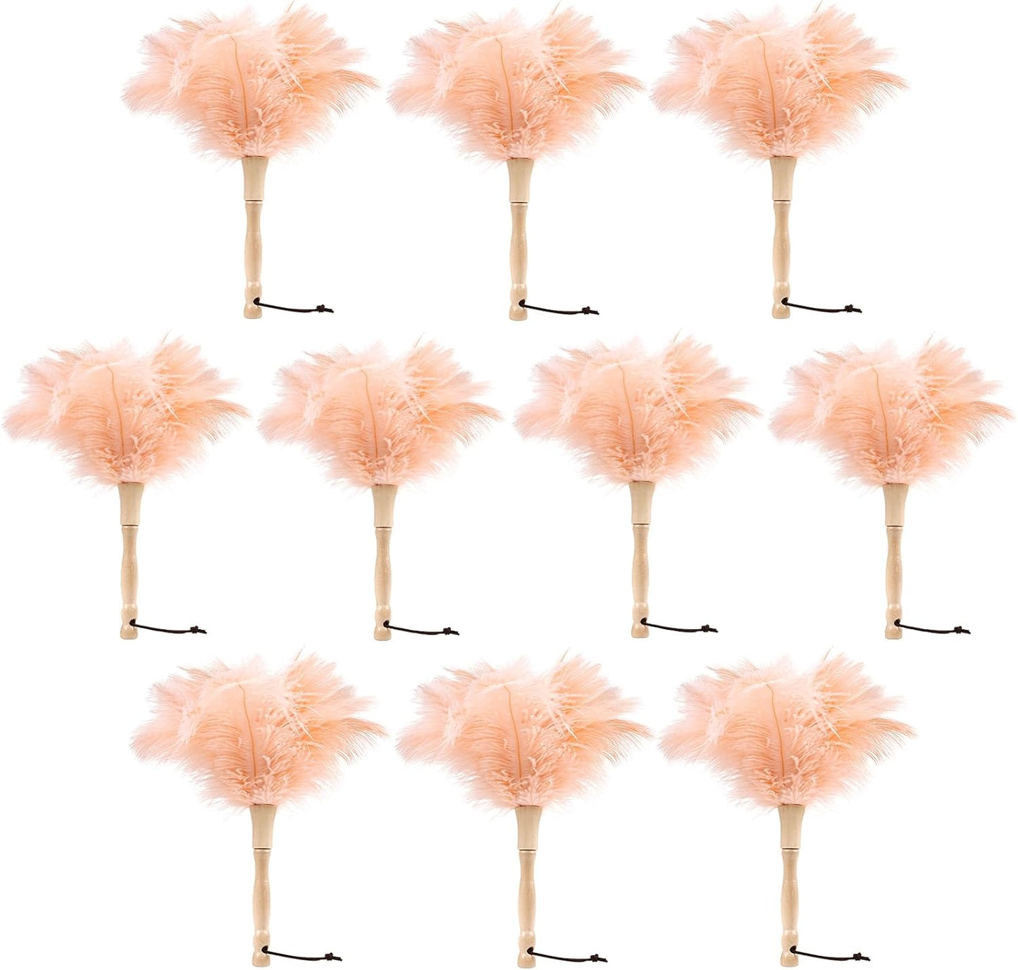 Ostrich Feather Duster 12 Inch Handheld Duster Supplies, Wooden Handle Feather Duster for Cleaning Keyboard Home Car Office (Champagne)