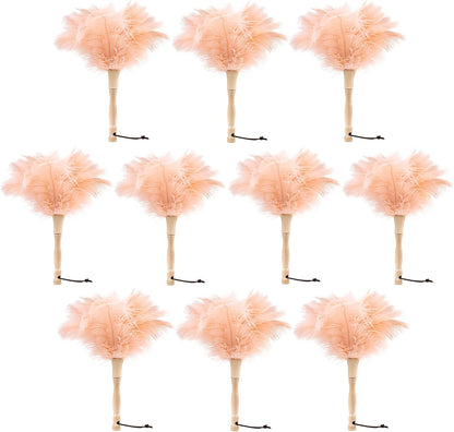 Ostrich Feather Duster 12 Inch Handheld Duster Supplies, Wooden Handle Feather Duster for Cleaning Keyboard Home Car Office (Champagne)