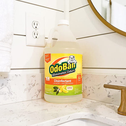 OdoBan Disinfectant Concentrate and Odor Eliminator, Made in the USA, Lavender Scent, 1 Gallon