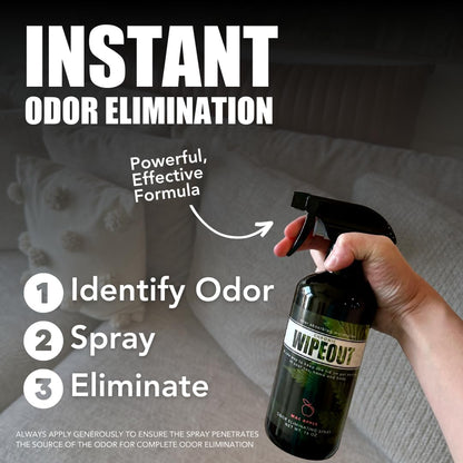 Chronic Wipeout Smoke Odor Eliminator Spray For Strong Odor - Highly Effective for Deodorizing Homes, Clothes, Cars, Office, Hands, & Hair from Smoke Smells - 1 16 oz Bottle Bamboo Teak Fragrance