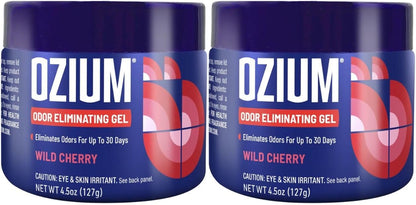 Ozium 4.5 Oz. Odor Eliminating Gel for Homes, Cars, Offices and More, Original, 4 Pack